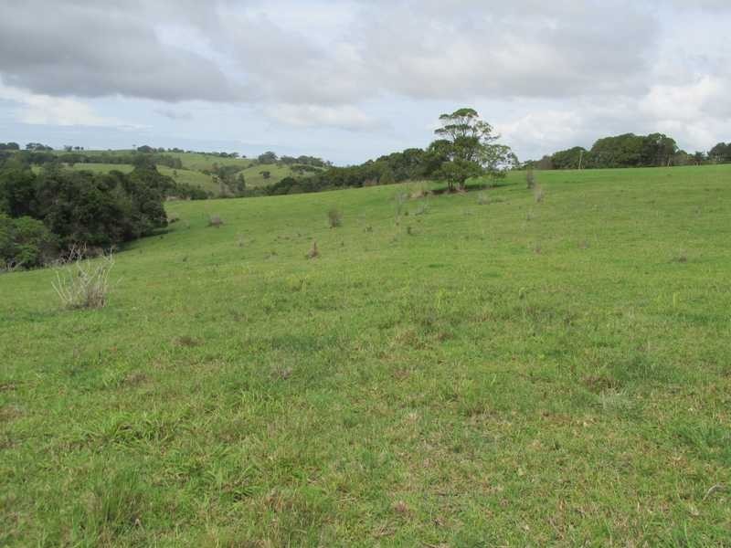 22 East Street, Tintenbar NSW 2478