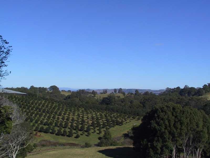 92 Willis Road, Tregeagle NSW 2480