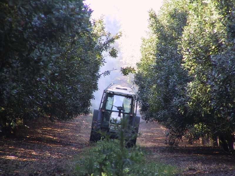 92 Willis Road, Tregeagle NSW 2480