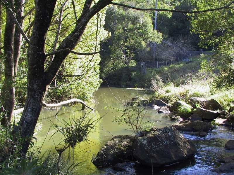 92 Willis Road, Tregeagle NSW 2480