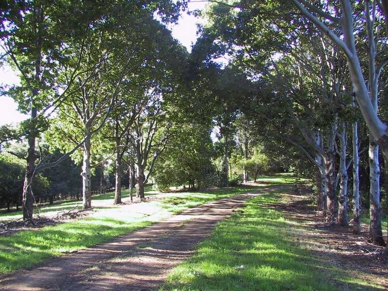 92 Willis Road, Tregeagle NSW 2480