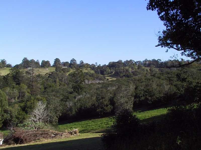 92 Willis Road, Tregeagle NSW 2480