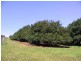 92 Willis Road, Tregeagle NSW 2480