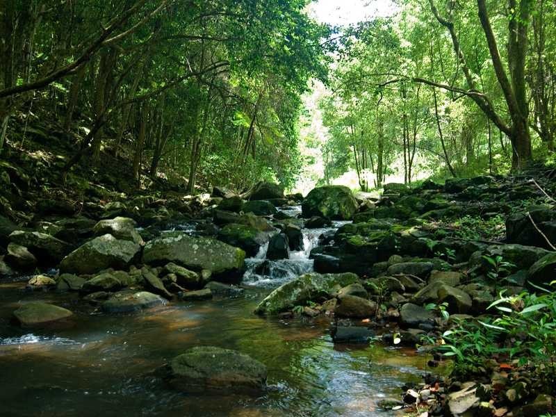 221 Friday Hut Road, Tintenbar NSW 2478