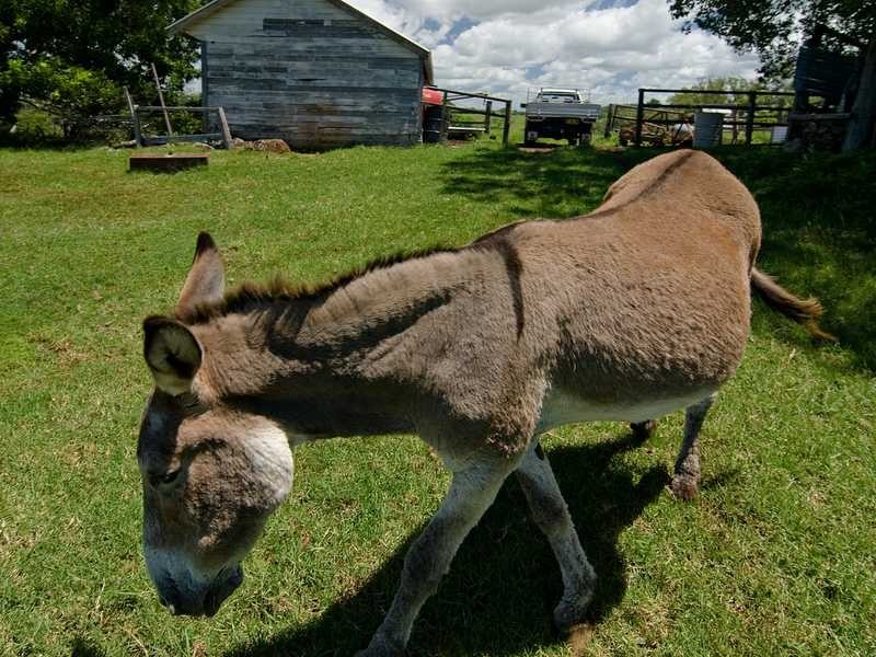 221 Friday Hut Road, Tintenbar NSW 2478