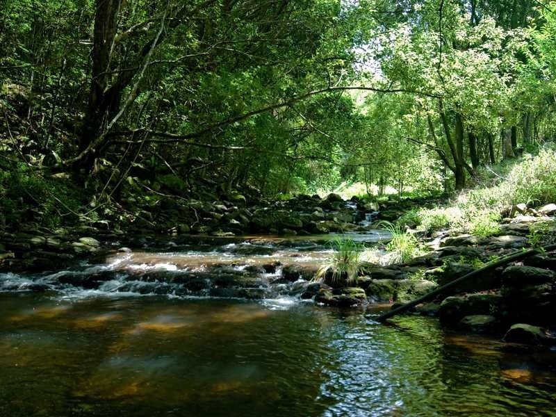 221 Friday Hut Road, Tintenbar NSW 2478