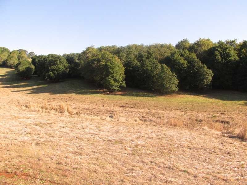 Lot 101 Frasers Road, Dunoon NSW 2480