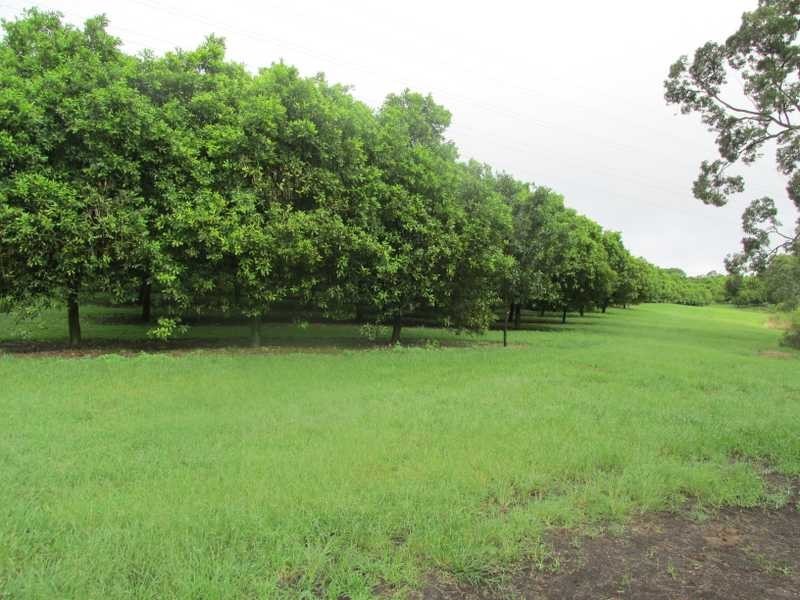 226 Hewitt Road, Lismore NSW 2480