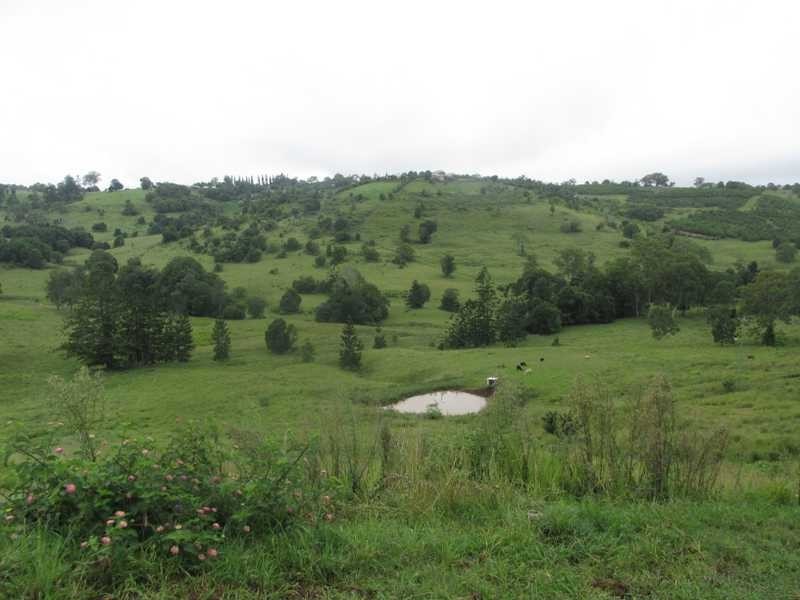 226 Hewitt Road, Lismore NSW 2480