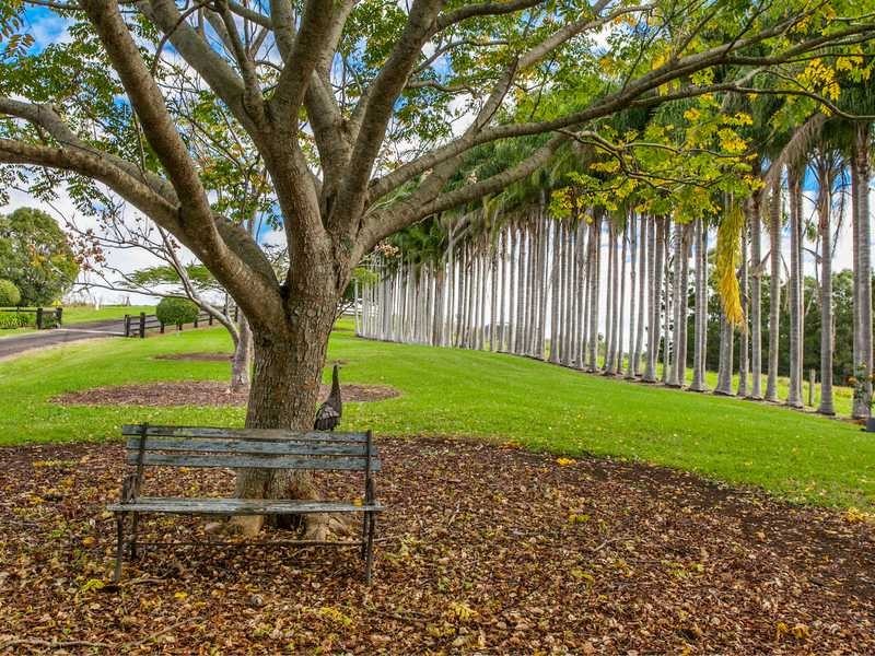 448 Binna Burra Road, Federal NSW 2480