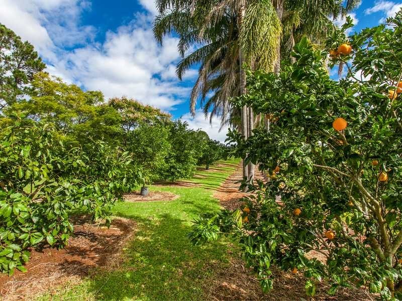 448 Binna Burra Road, Federal NSW 2480