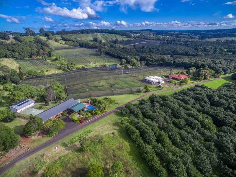 2309 Hinterland Way, Bangalow NSW 2479