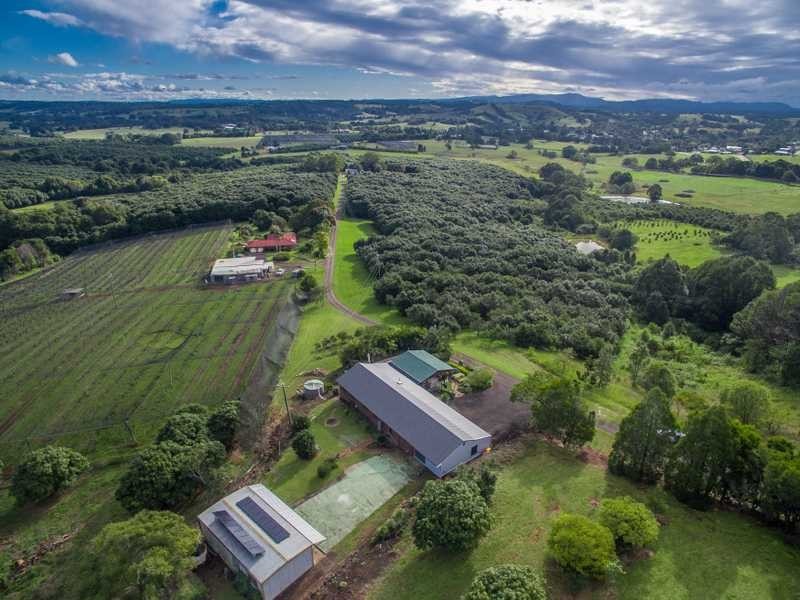 2309 Hinterland Way, Bangalow NSW 2479