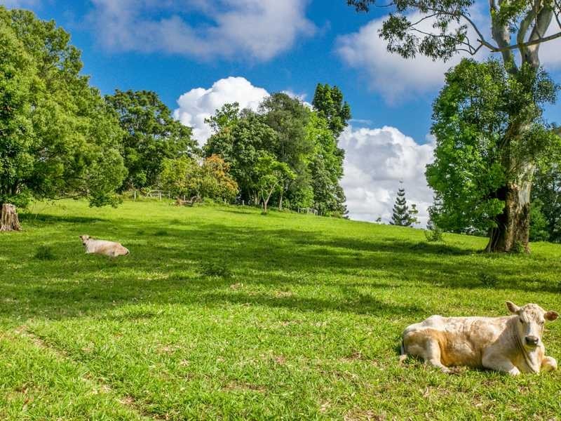 214 Sheaffes Road, Goonengerry NSW 2482