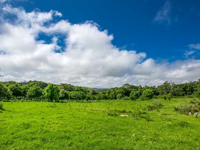 214 Sheaffes Road, Goonengerry NSW 2482