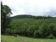 Maw St, Nambucca Heads NSW 2448