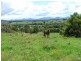Maw St, Nambucca Heads NSW 2448