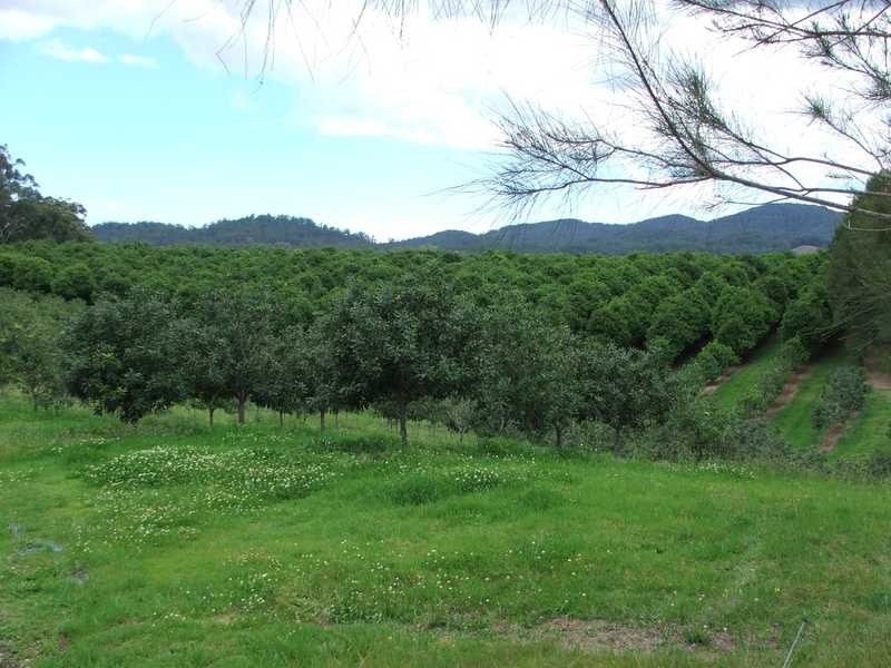 Maw St, Nambucca Heads NSW 2448