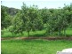 Maw St, Nambucca Heads NSW 2448