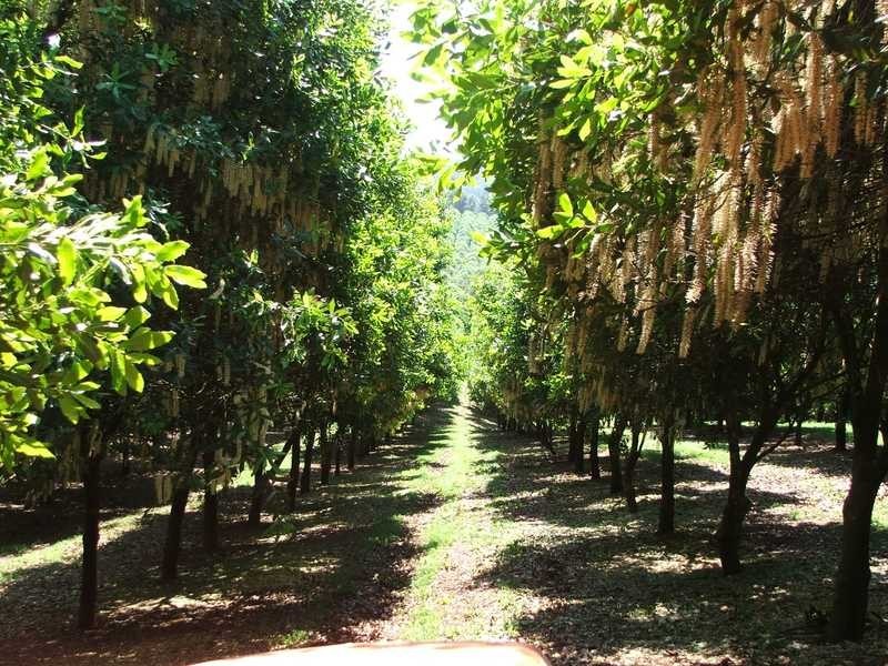 Maw St, Nambucca Heads NSW 2448