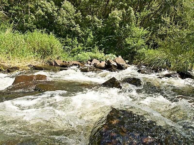 1396 Eltham Road, Teven NSW 2478