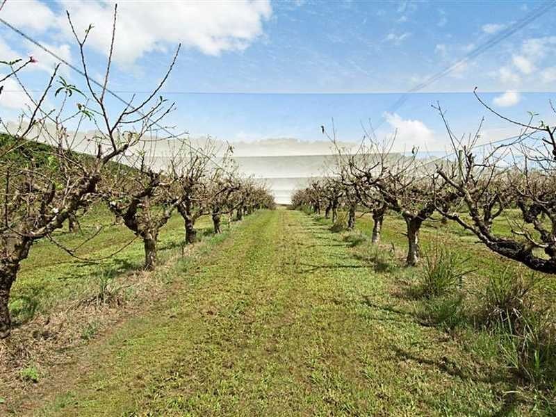 1396 Eltham Road, Teven NSW 2478