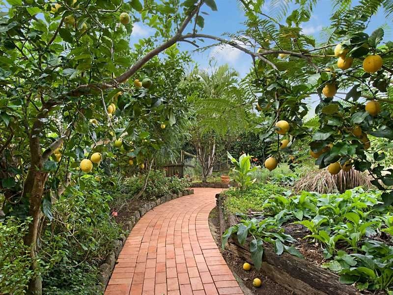 254 Old Byron Bay Road, Newrybar NSW 2479