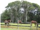 Lot 1 Pacific Highway, Bangalow NSW 2479