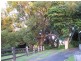 Lot 1 Pacific Highway, Bangalow NSW 2479