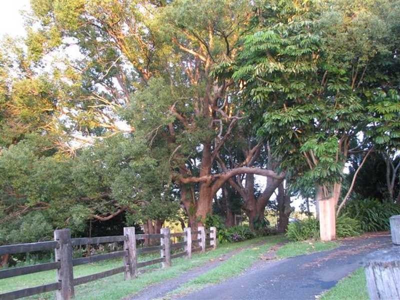 Lot 1 Pacific Highway, Bangalow NSW 2479