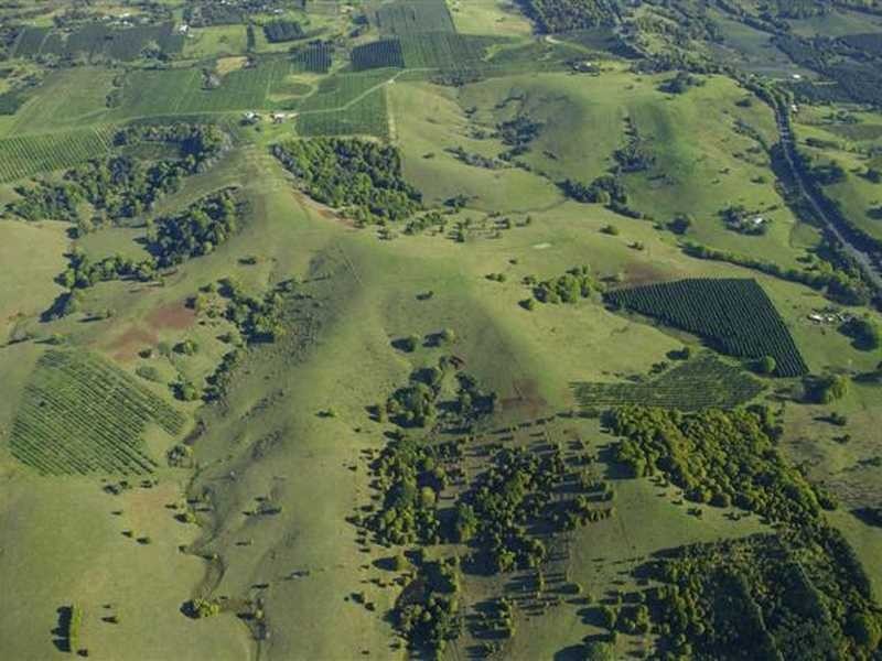 Lot 1 Pacific Highway, Bangalow NSW 2479
