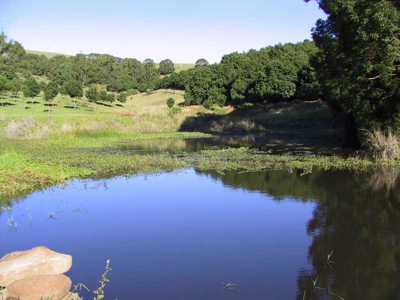 Lot 1 Pacific Highway, Bangalow NSW 2479