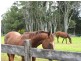 Lot 1 Pacific Highway, Bangalow NSW 2479