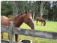 Lot 1 Pacific Highway, Bangalow NSW 2479