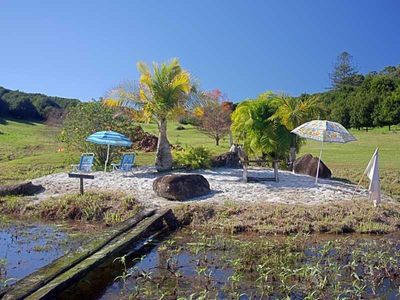 332 Picadilly Hill Road, Coopers Shoot NSW 2479