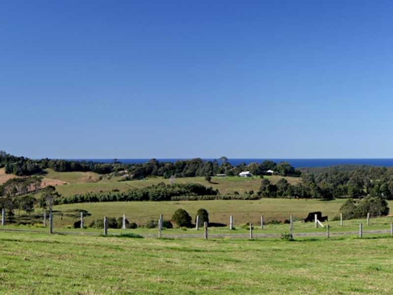 332 Picadilly Hill Road, Coopers Shoot NSW 2479