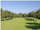 332 Picadilly Hill Road, Coopers Shoot NSW 2479