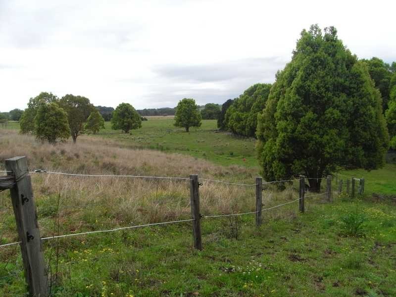 56 Johnston Rd, Clunes NSW 2480