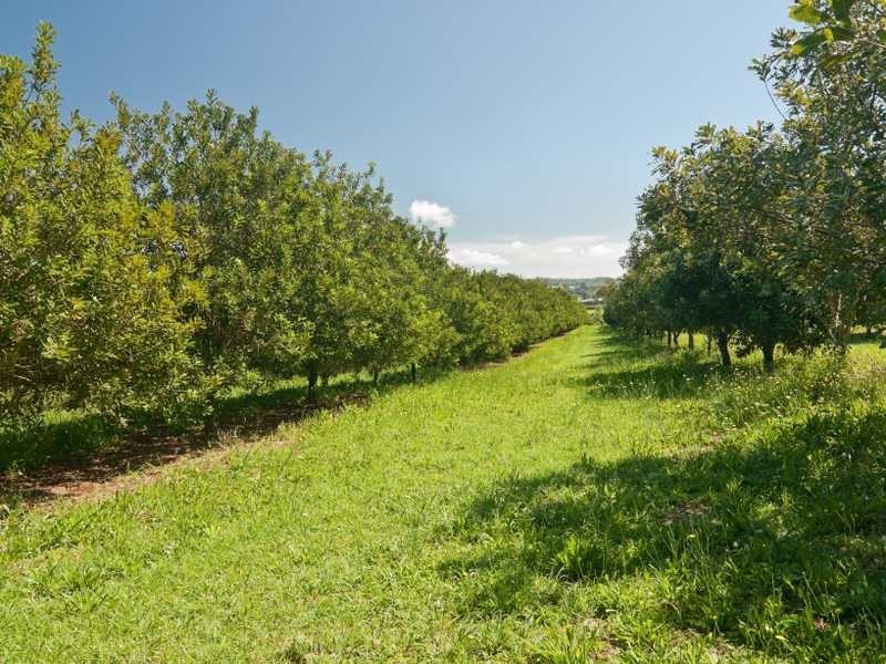 Lot 102 Pacific Highway, Bangalow NSW 2479