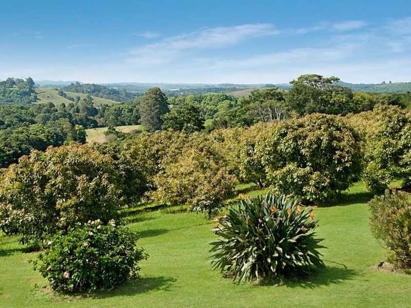 21 Shaws Lane, Tuckombil NSW 2477