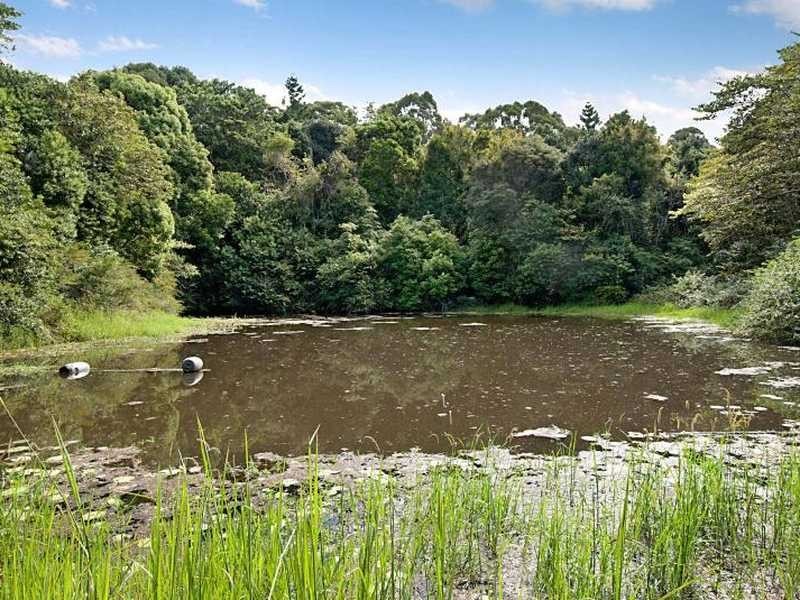 21 Shaws Lane, Tuckombil NSW 2477
