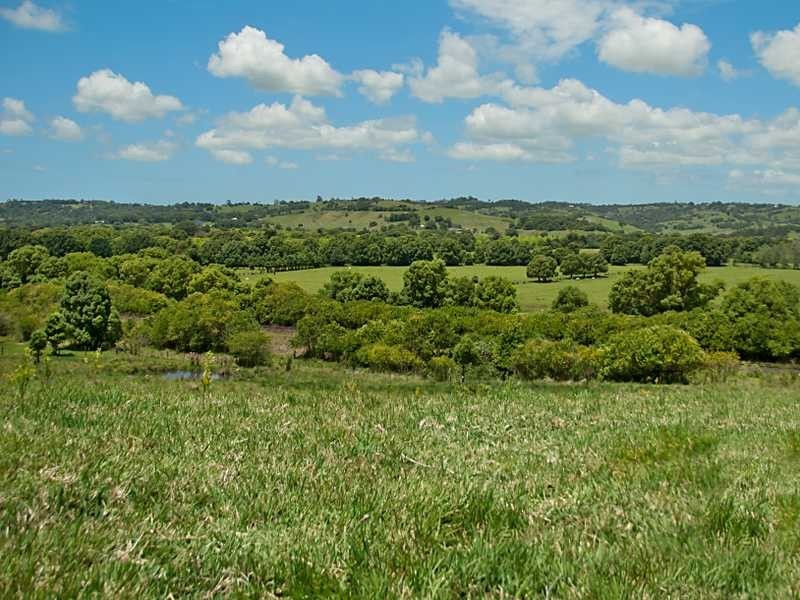 363 Eltham Road, Eltham NSW 2480