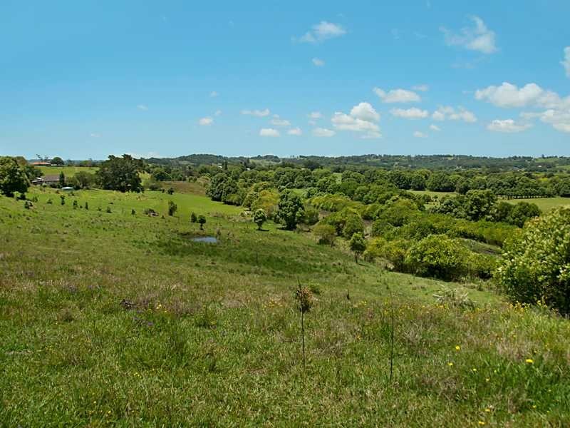 363 Eltham Road, Eltham NSW 2480