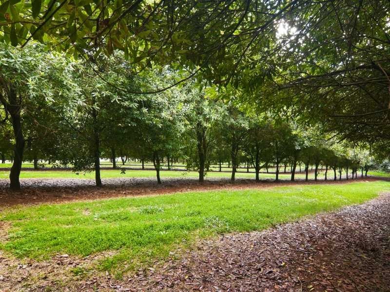 Lot 1/186 Eureka Rd, Eureka NSW 2480