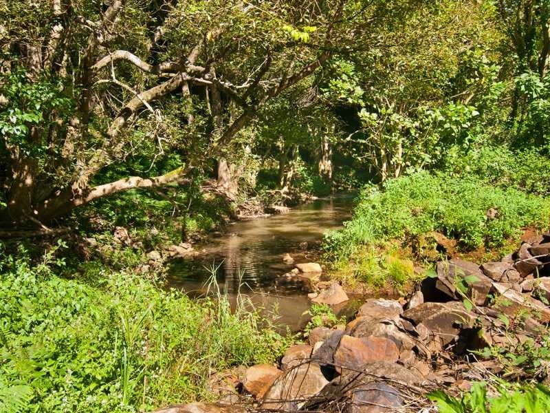 Lot 1/186 Eureka Rd, Eureka NSW 2480