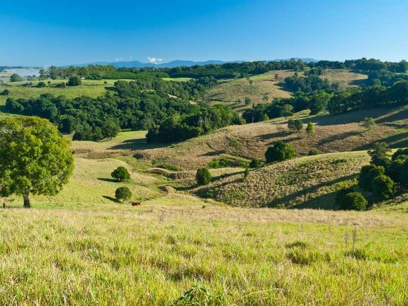 47 Walmsley Road, Eltham NSW 2480