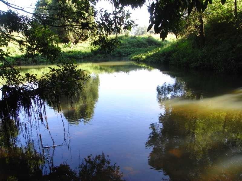 Lot 2 Lismore Road, Nashua NSW 2479