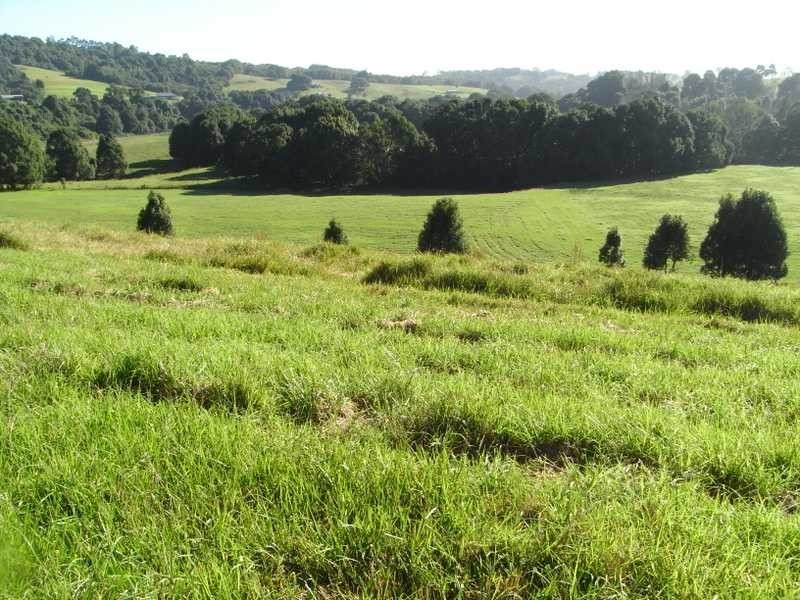 Lot 2 Lismore Road, Nashua NSW 2479