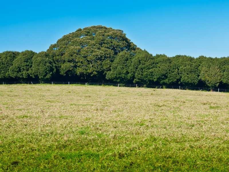 864 Fernleigh Rd, Brooklet NSW 2479