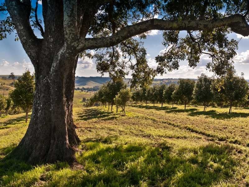 1344 Bangalow Road, Clunes NSW 2480